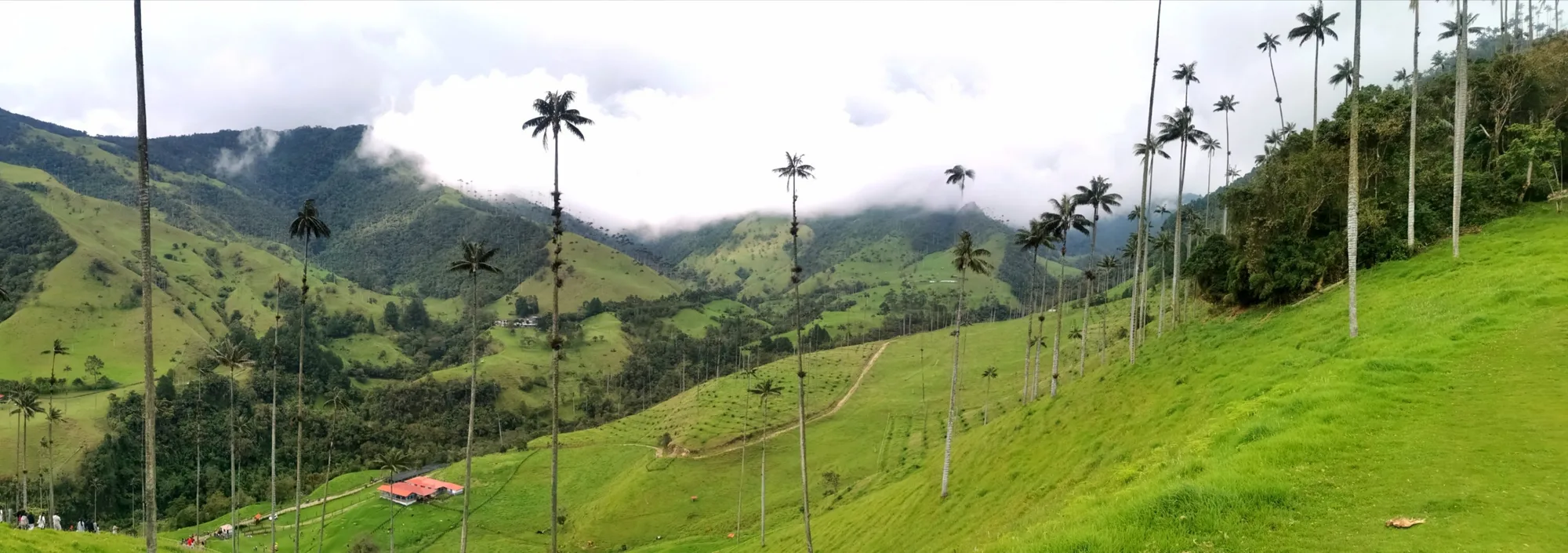 Valley of plenty