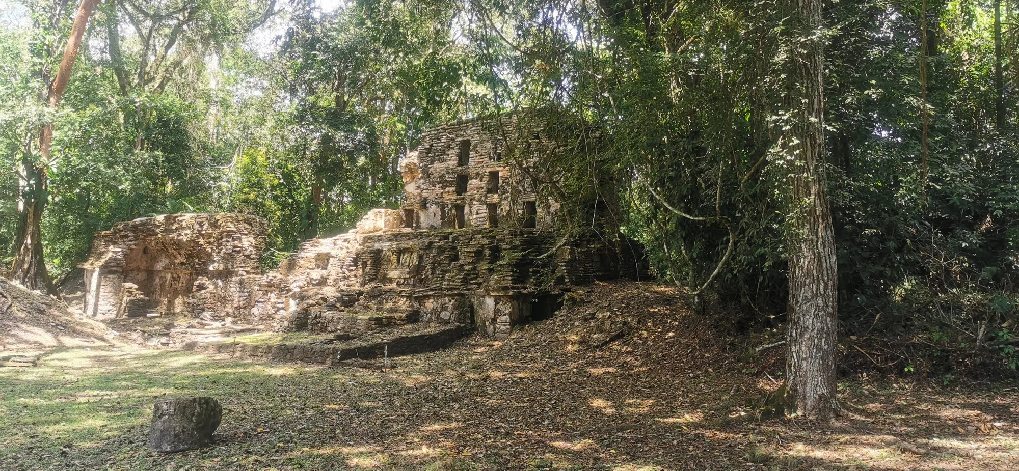 Detox, ruins and arts